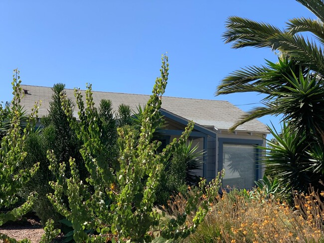 Building Photo - Cozy 1 bedroom cottage beach close with a yard, off street parking and a garage. Pets allowed