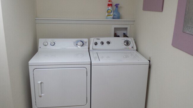 Building Photo - 4 Bedroom House, close to downtown and 3 3 campus's