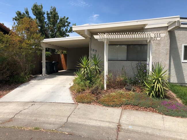 Building Photo - BACK UP TO OPEN SPACE IN DESIRABLE NORTH D...