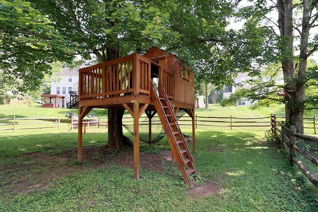 Building Photo - Pet-Friendly N. Albemarle Home With Fenced Yard