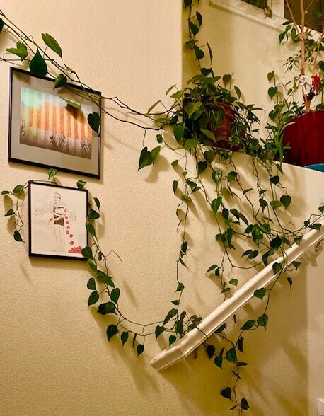 Hallway with space for planst - 7146 NE Martin Luther King Jr Blvd