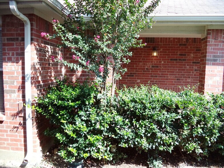 Building Photo - 2121 Ingrid Ln