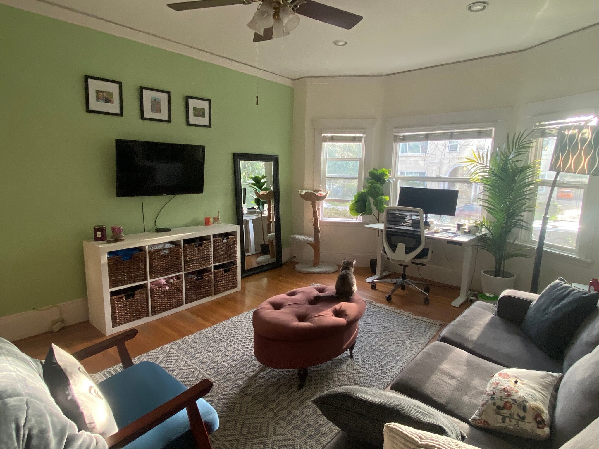 LivingRoom/Bedroom - 3117 College Ave