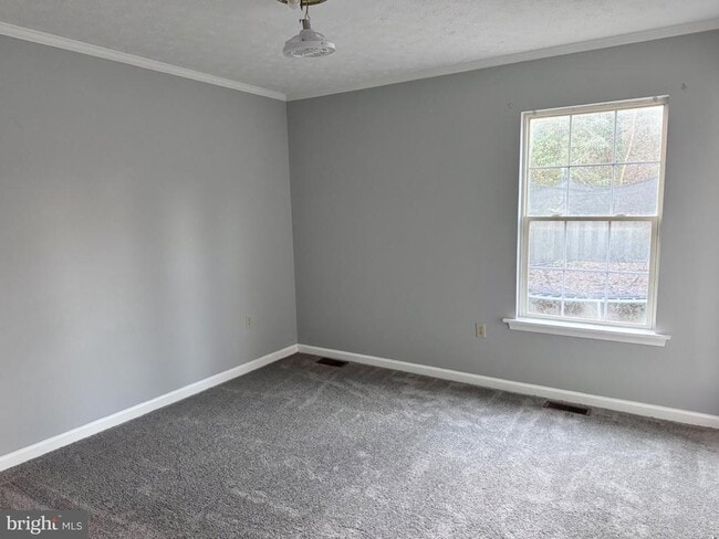 Building Photo - 121 Hampton Ct