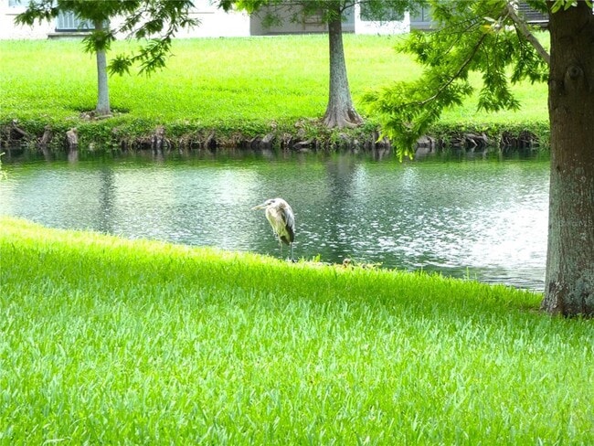 Building Photo - 11237 Kapok Grand Cir