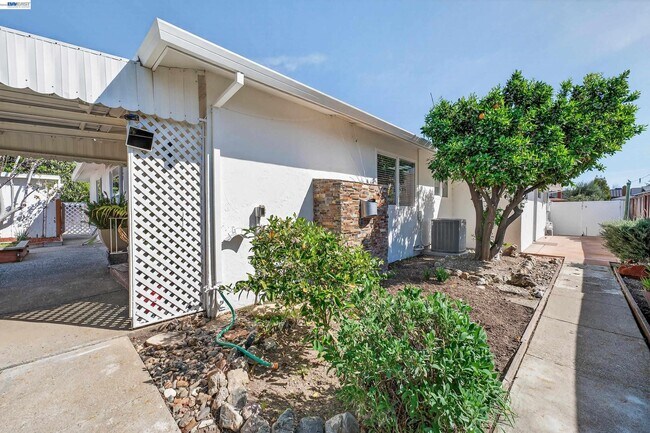 Building Photo - 1450 Kolln St