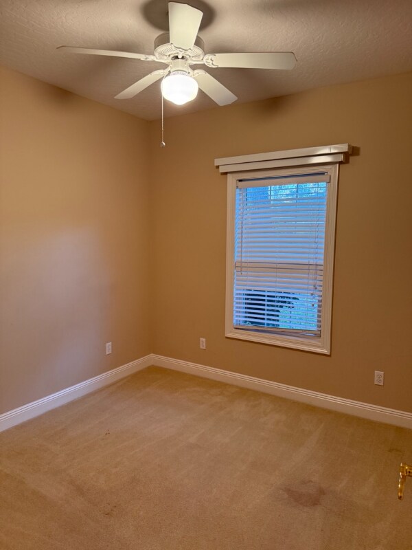 Building Photo - 808 Lark St