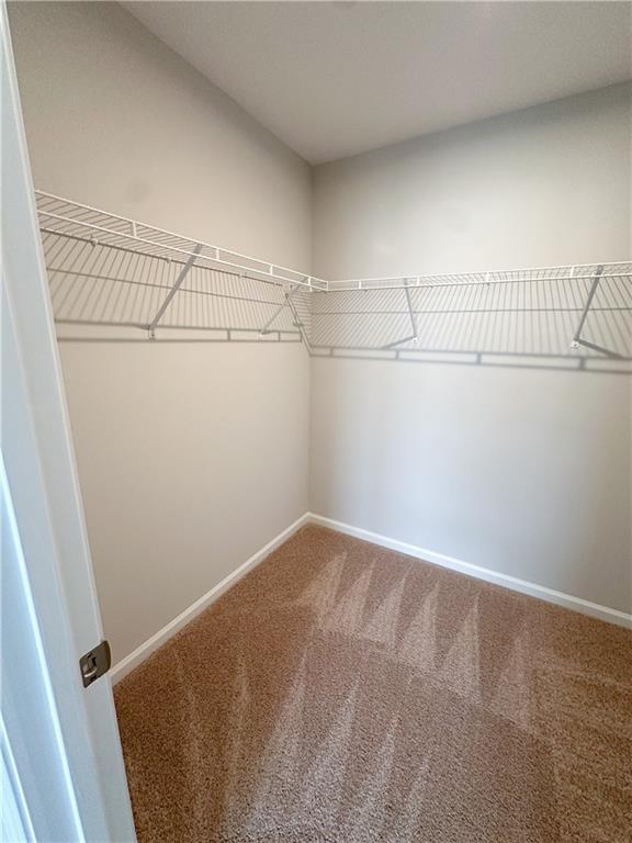 Building Photo - 493 Crown Dr