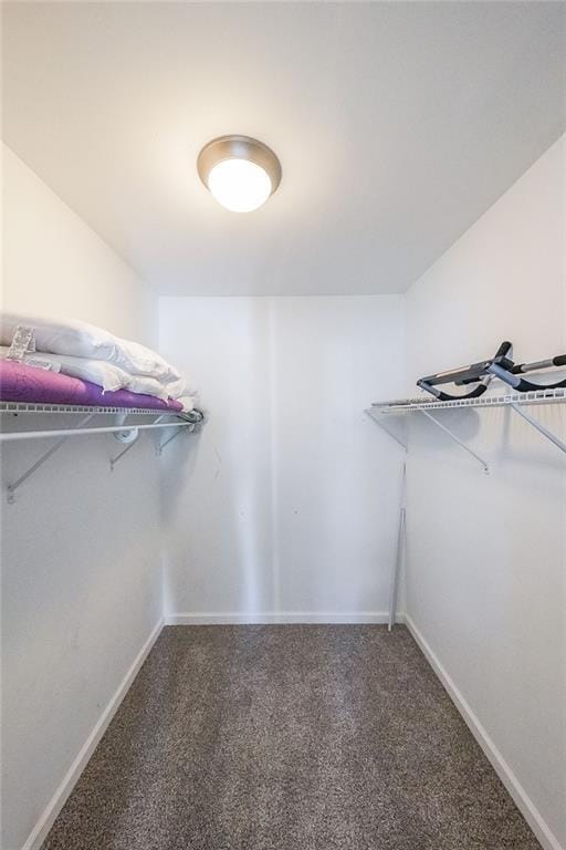 Building Photo - 6220 Polar Fox Ct