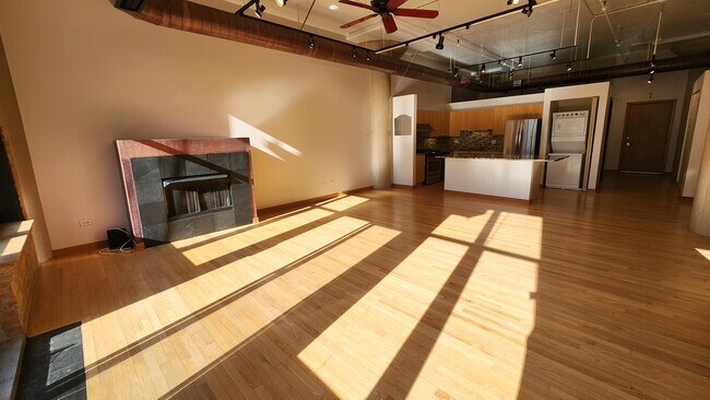 Building Photo - 333 W Hubbard St