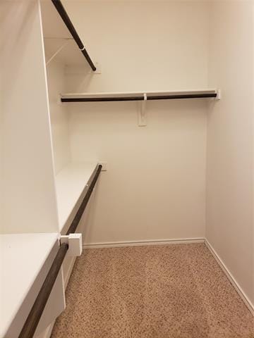 Building Photo - 101 Gannet Trl