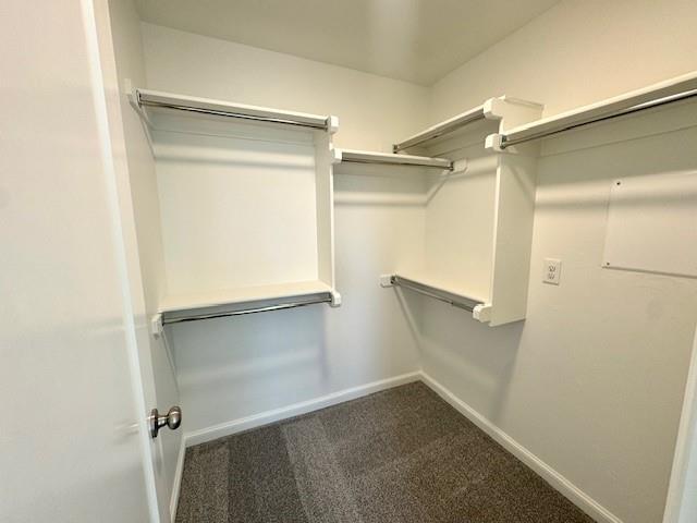 Building Photo - 3104 Mt Nebo Dr