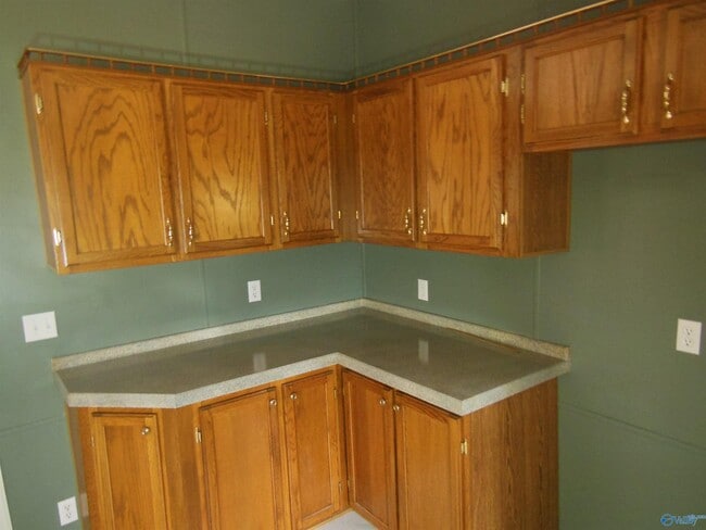 Building Photo - 411 Paint Rock Rd