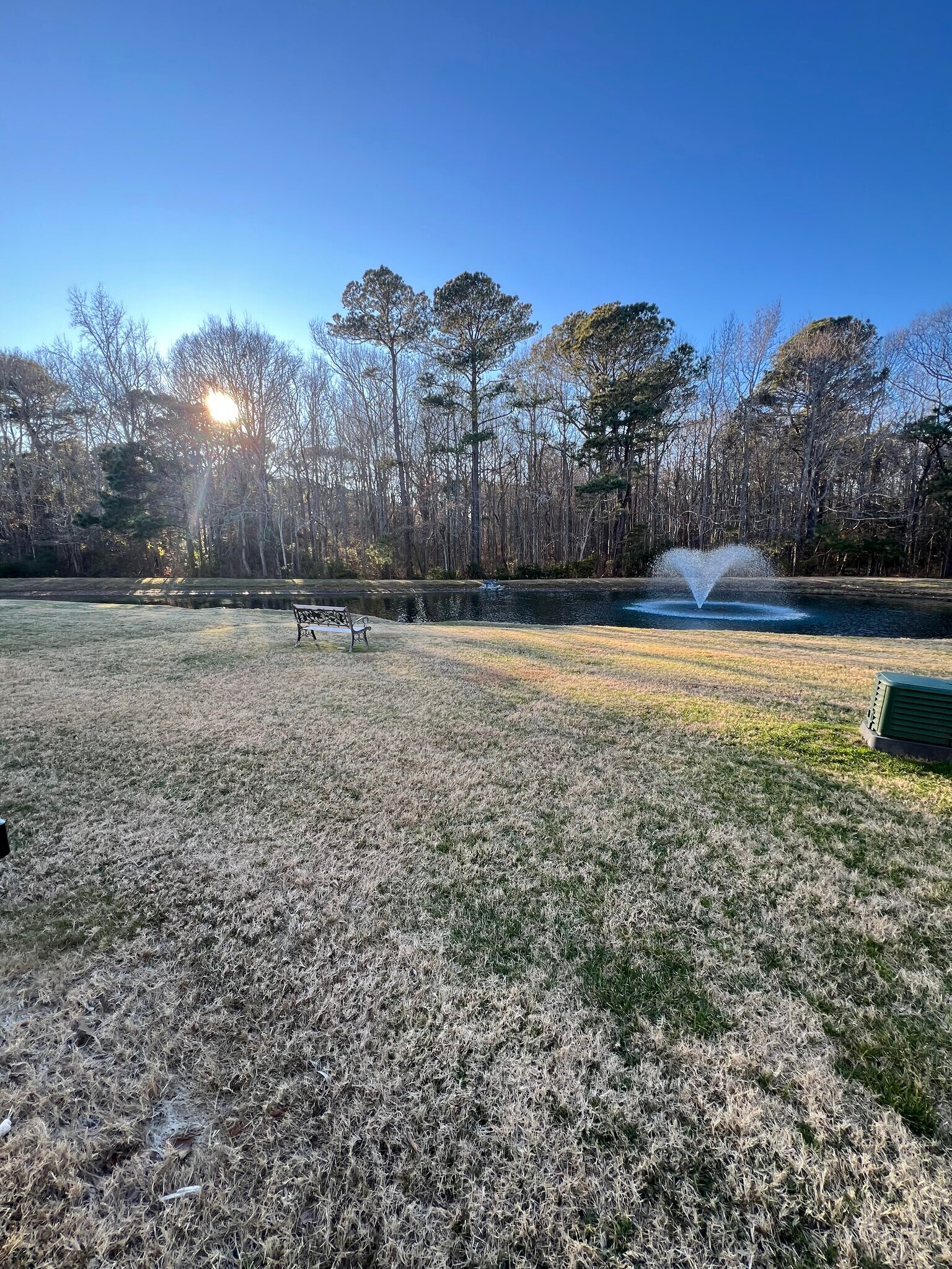 Shared community green space - 1315 Abelia Way