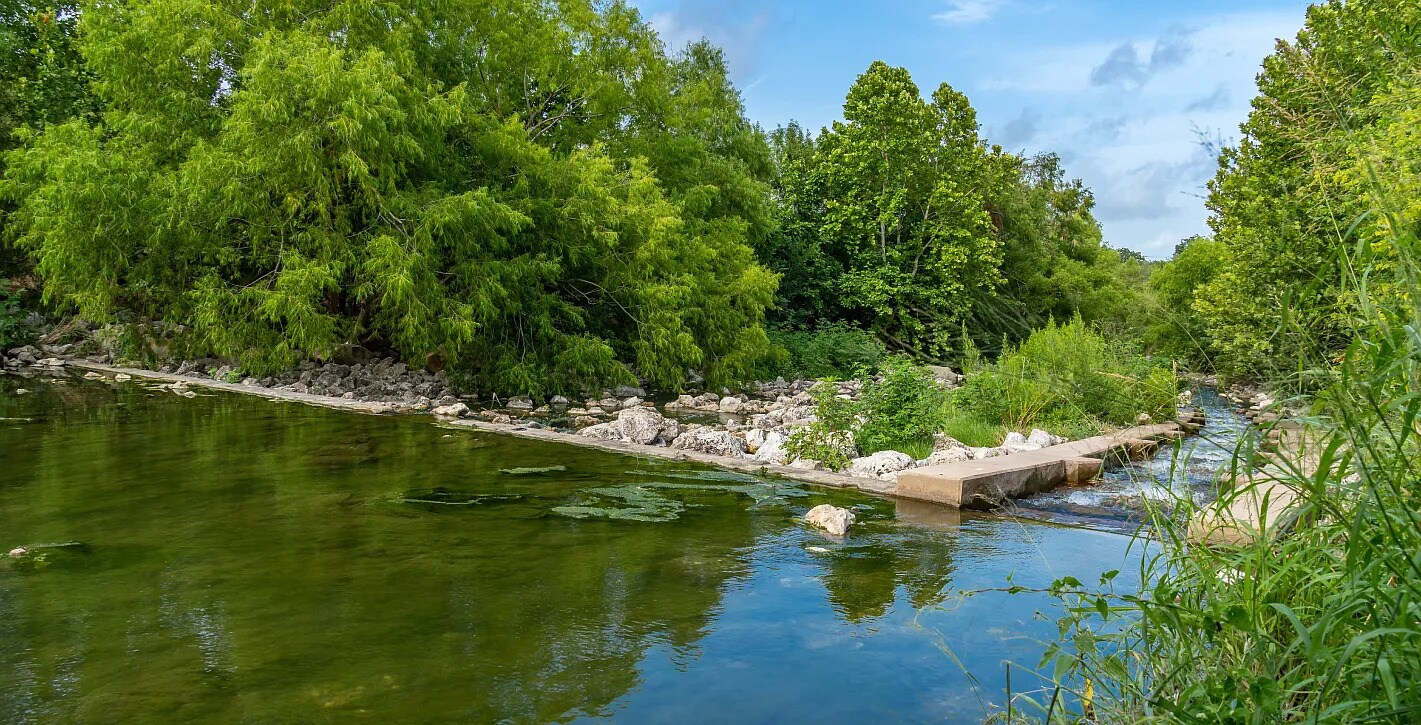 Building Photo - 1227 Art Wall Wy