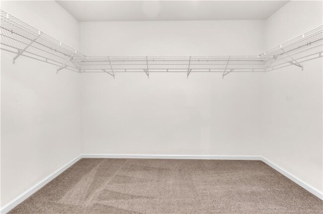 Building Photo - 4715 Bluffton Ct