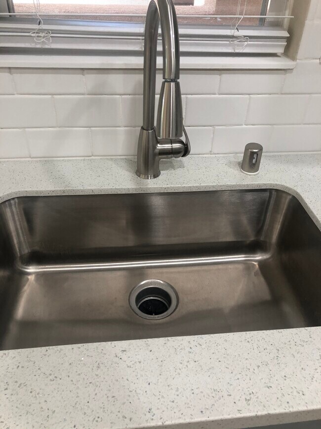 Oversized Kitchen Sink - 26426 Arboretum Way