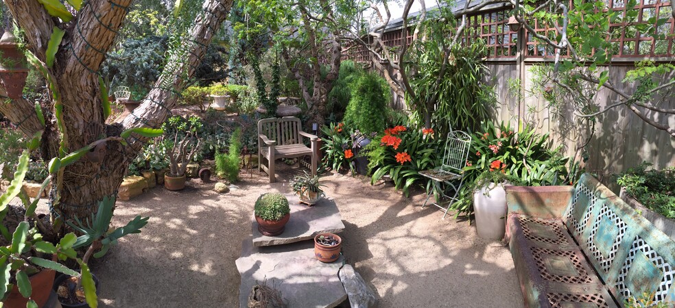 Main Garden Setting Area - 1333 6th Ave