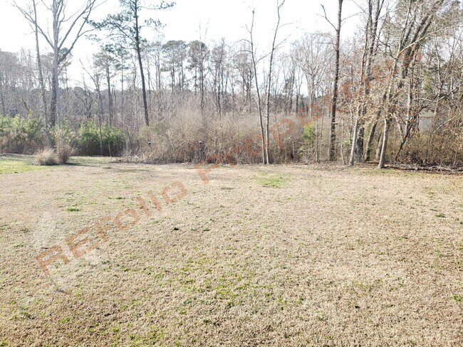 Building Photo - Amazing 3-Bedroom Ranch with a 2-Car Garage and a Huge Backyard in Hadden Pointe, Fuquay-Varina —...