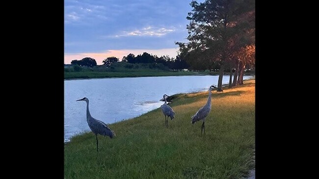 Building Photo - Move-In Ready 2BR/2BA Villa with Den + 2-Car Garage | Lake Nona Adjacent | Suncrest at St. Cloud