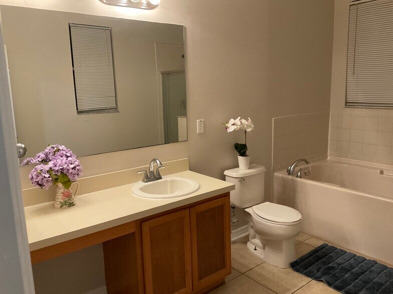 Master bathroom - 11253 Running Pine Dr