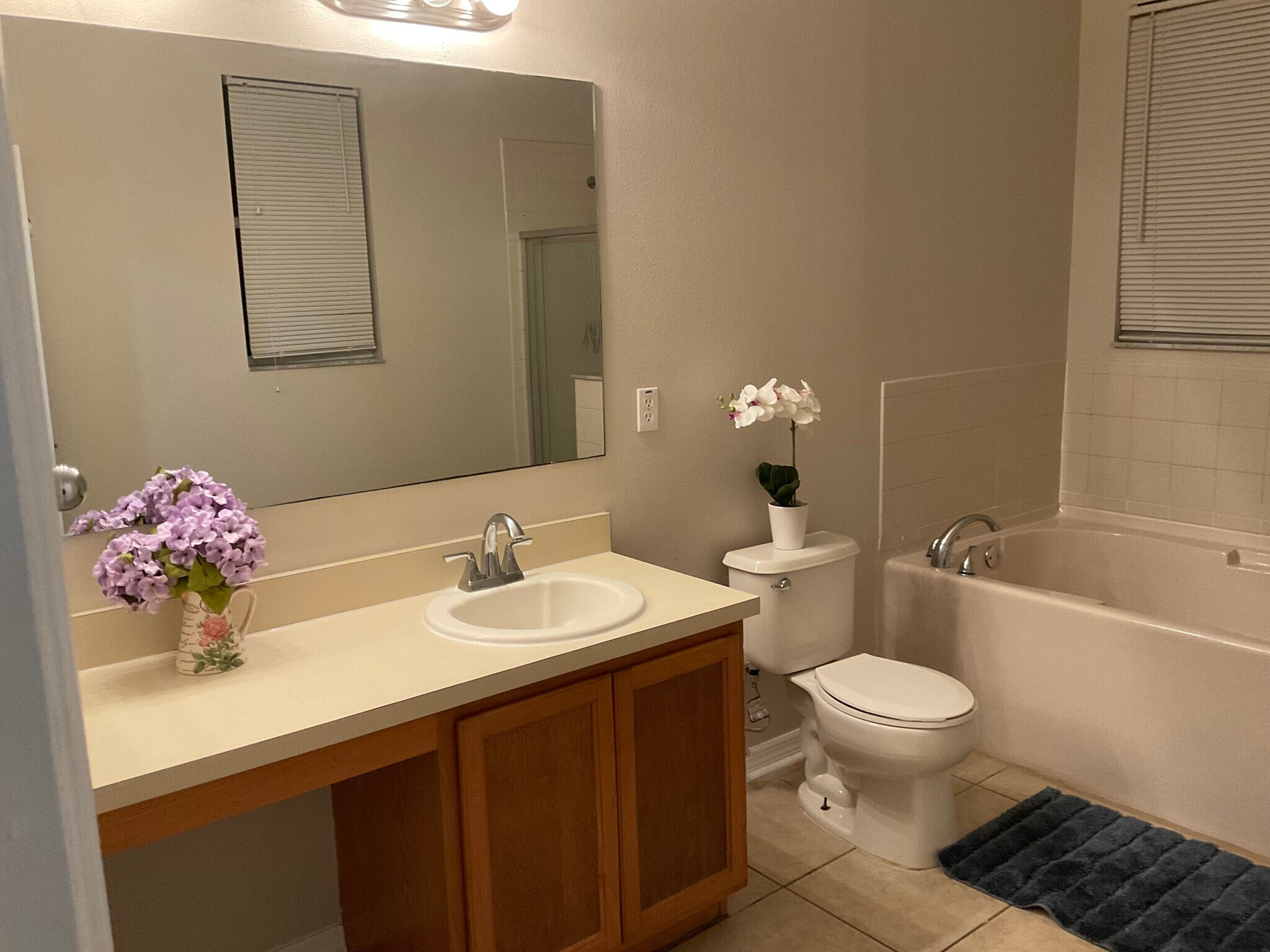 Master bathroom - 11253 Running Pine Dr