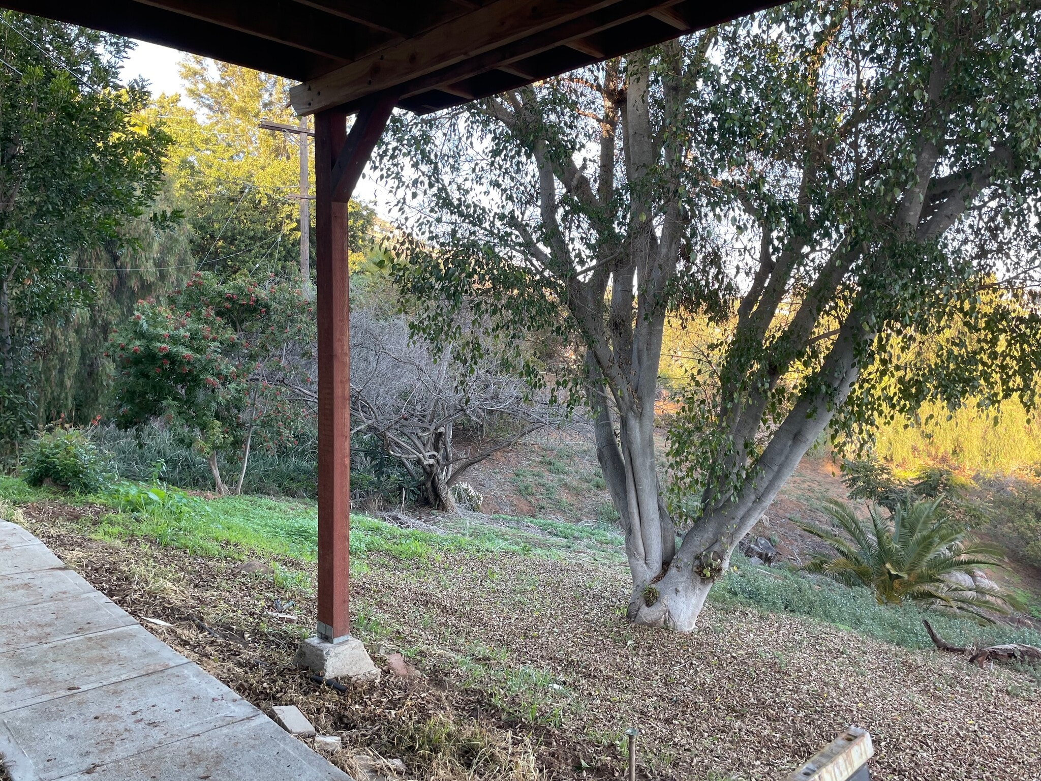 Building Photo - 4276 Orchard Dr