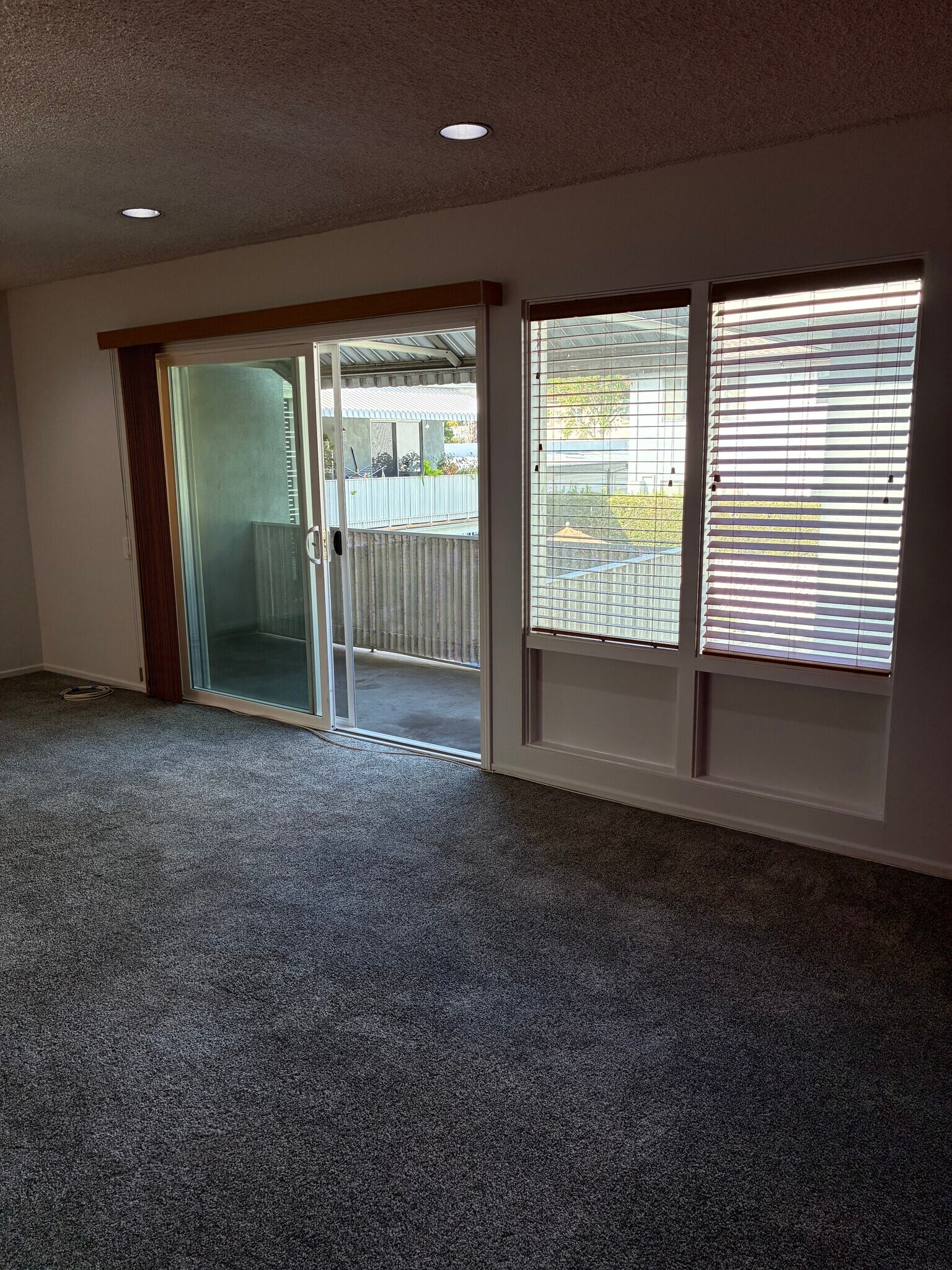 Glass Slider in Large Living Room with Covered Patio - 1520 Spruce St