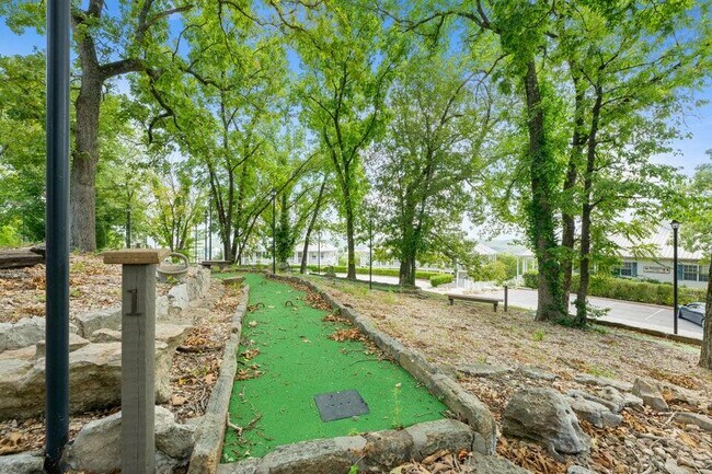 Building Photo - 393 Ozark Mountain Resort Dr
