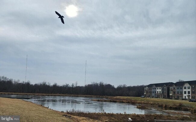 Building Photo - 2111 Collington Pl