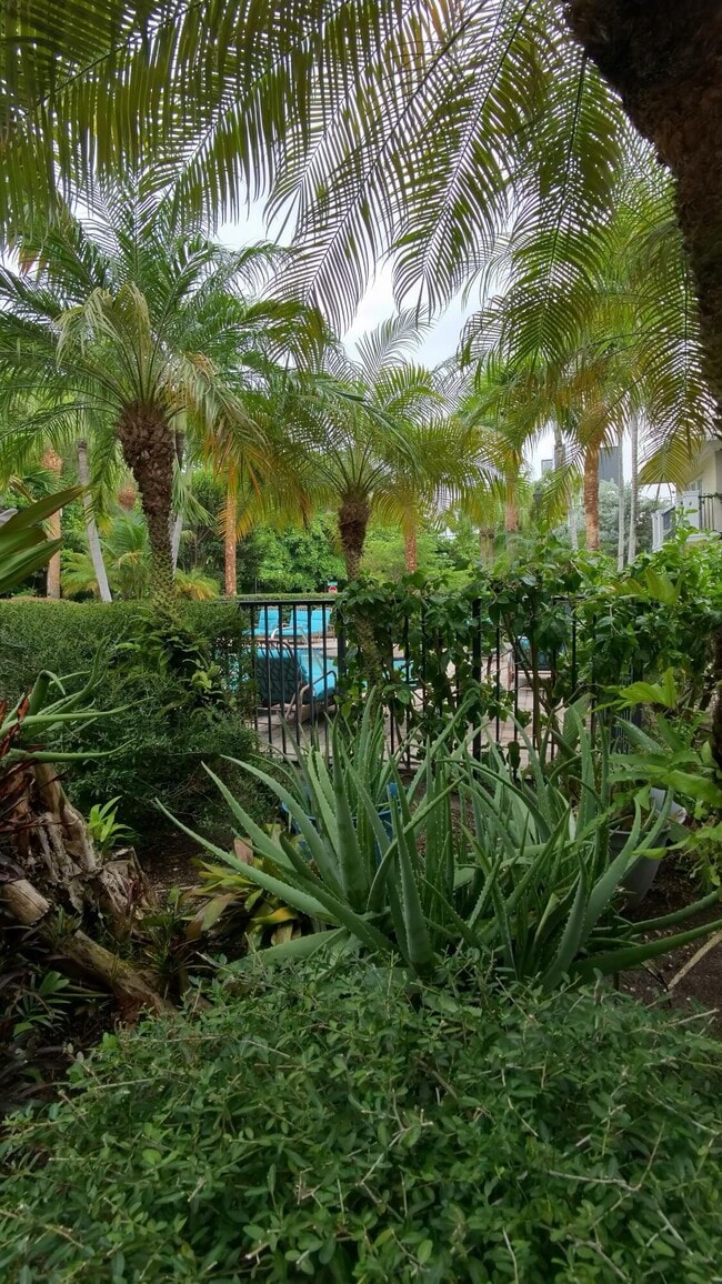 Building Photo - 1000 Palm Trail