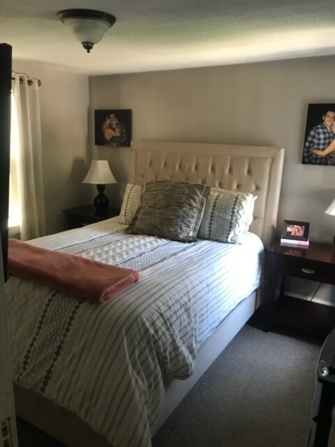Bedroom 1 - 17 Brookdale Ave