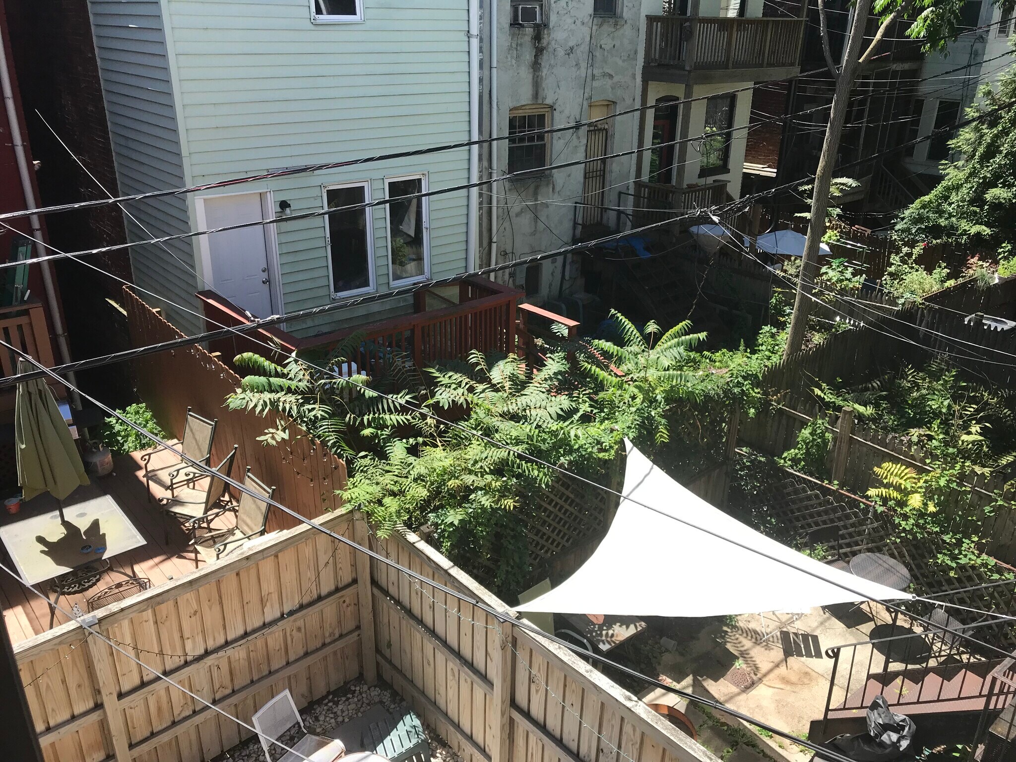 Rear yard - 1448 Newton St NW