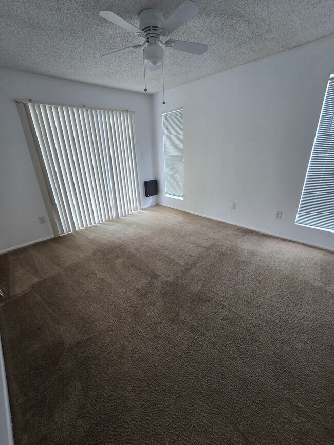 Building Photo - Charming One Bedroom for Rent in Tampa!
