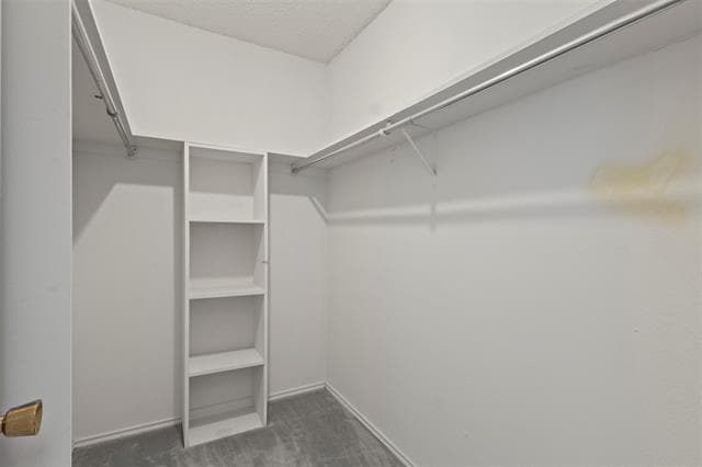 Building Photo - 3635 Garden Brook Dr