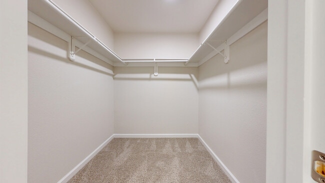 Building Photo - 401 Ignacio Blvd