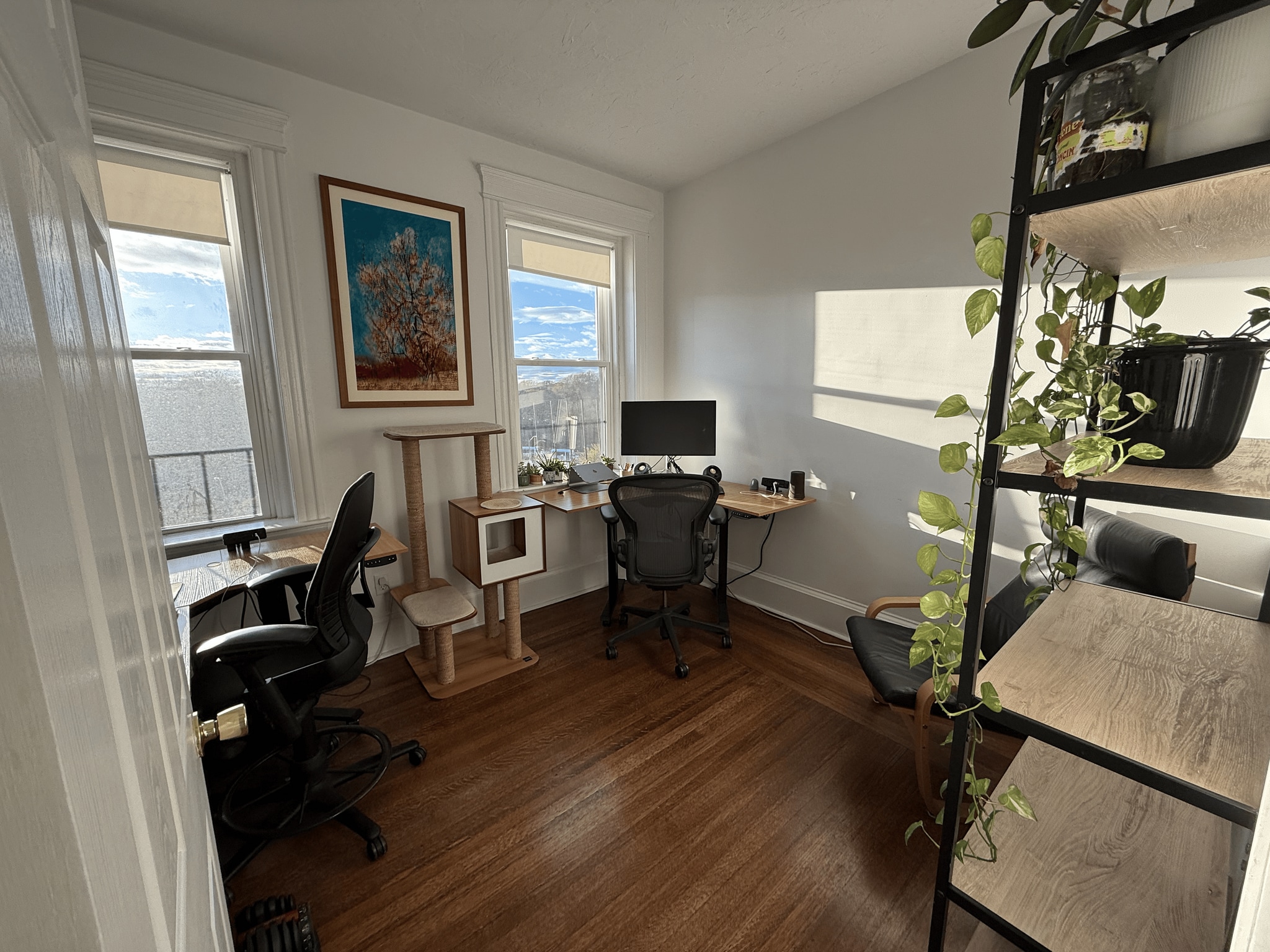 Secondary Bedroom/Office - 137 Peterborough Street