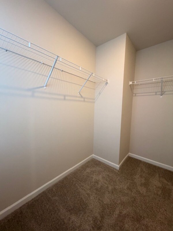 Building Photo - 109 Stock Rd