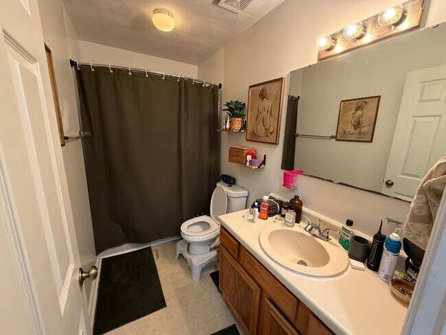 Building Photo - 4 Bedroom, 2.5 Bathroom Townhouse in the heart of Blacksburg