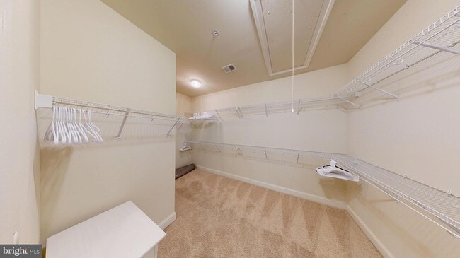 Building Photo - 3041 Moore Ln