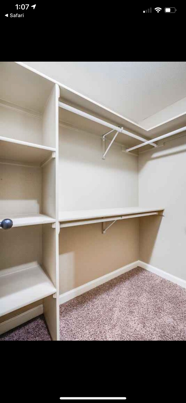 Building Photo - 2600 Snowy Rock Pl