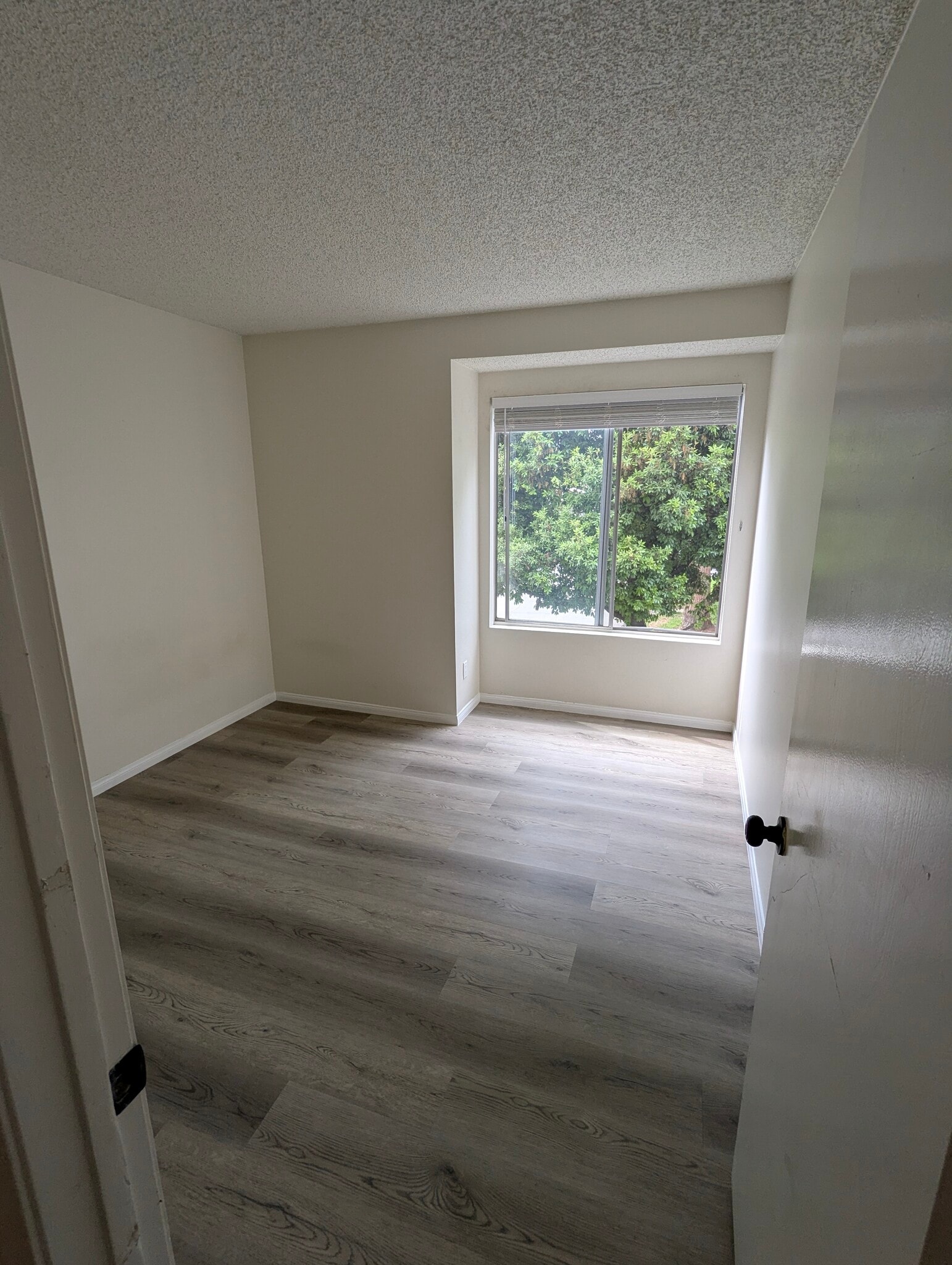 Building Photo - 137 Dogwood Ln