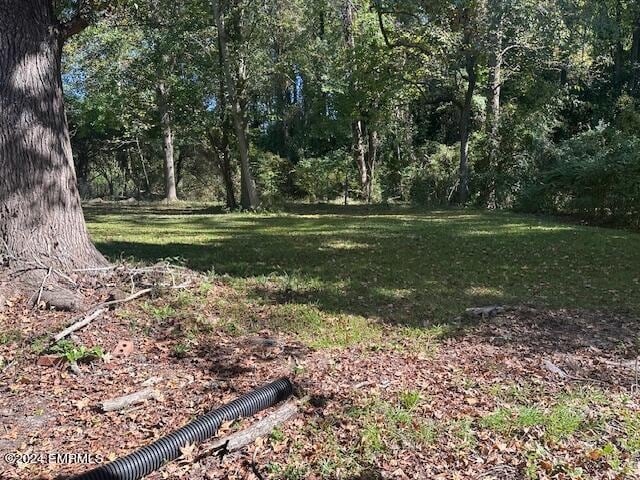 Building Photo - 4818 37th Ave