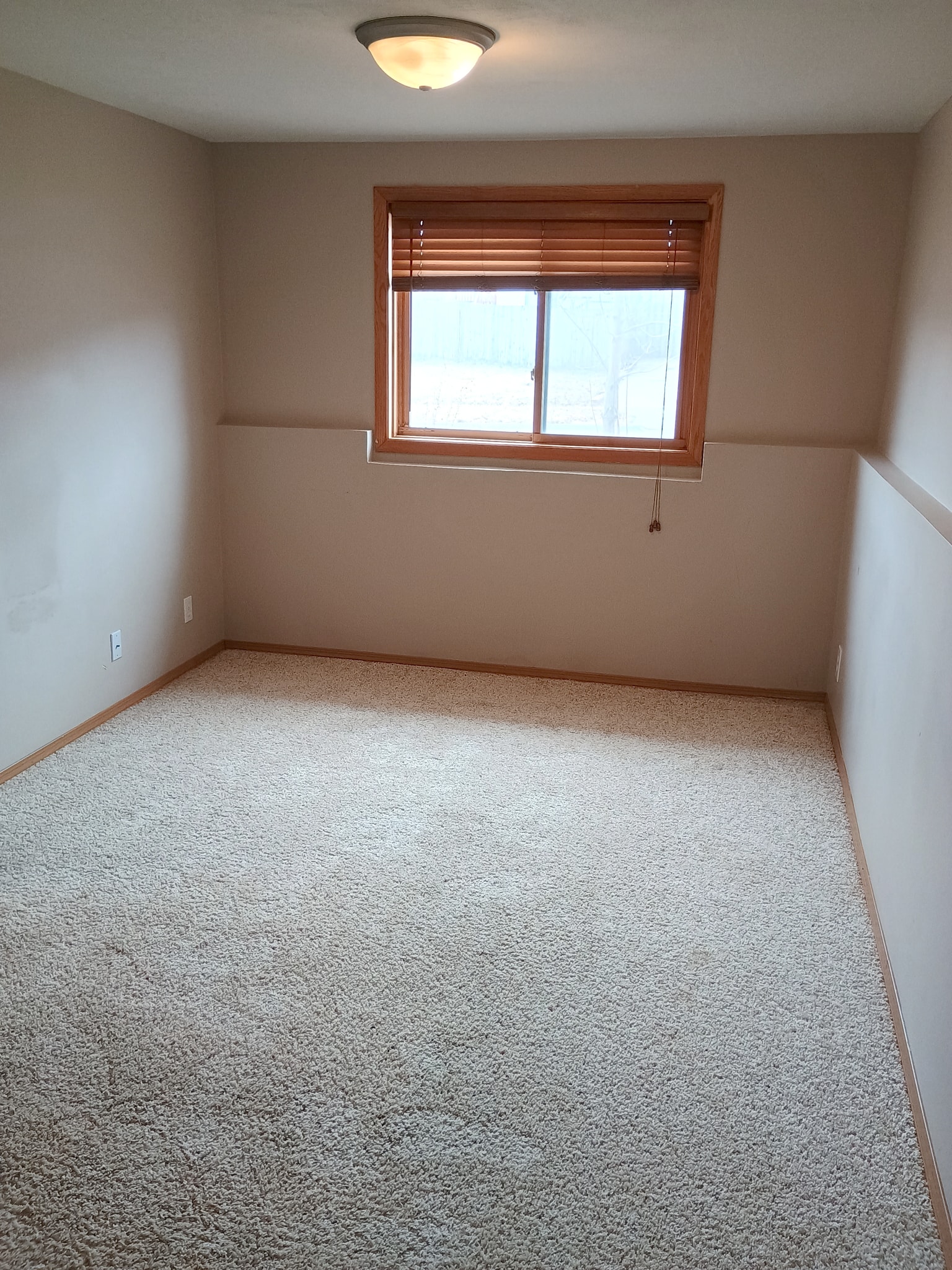 Basement - 5306 W Cleveland Ave