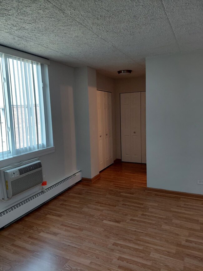 Primary Bedroom with closets - 225 S Rohlwing Rd