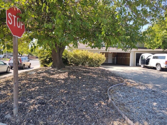Primary Photo - Two Bedroom Unit with Yard