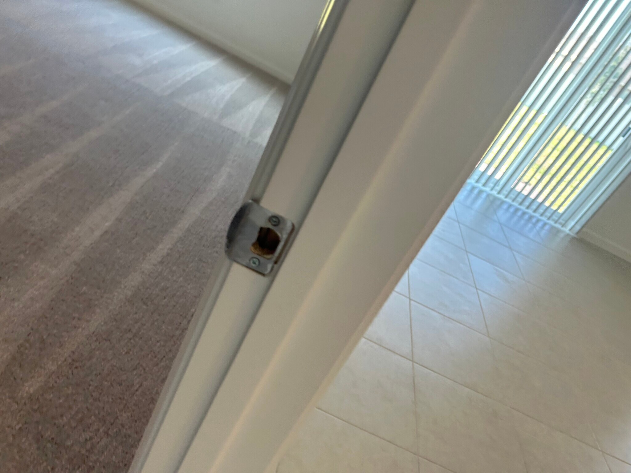 Looking out into Main Room - 4213 Longmour Ln