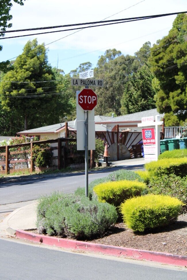 Building Photo - 507 Chabre Ct