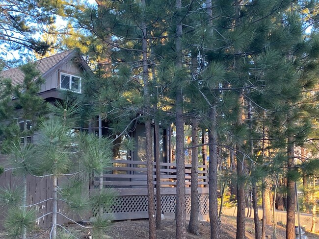 Primary Photo - Adorable Al Tahoe ADU Cabin with Great Mea...