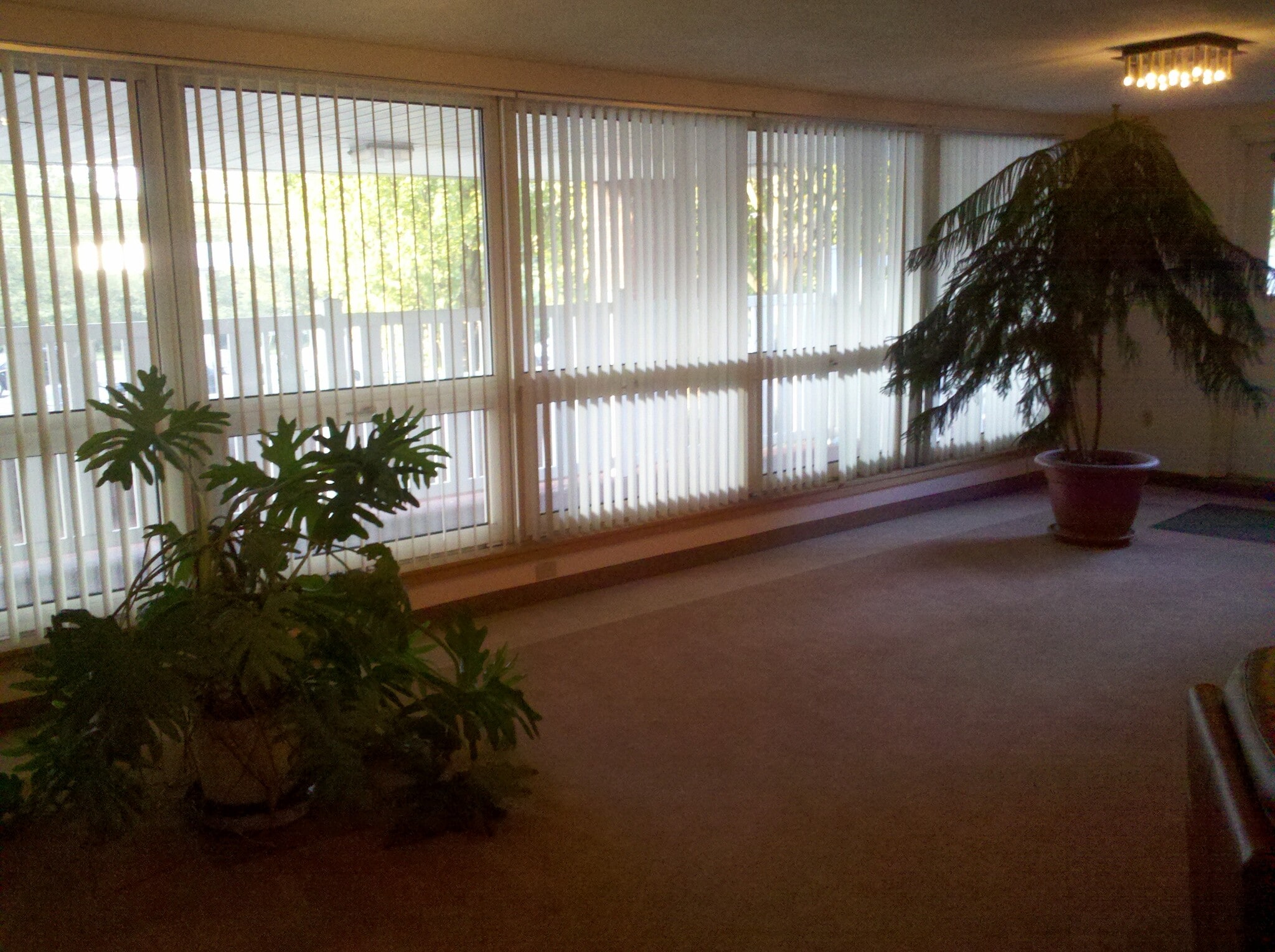 Foyer of the building, pool area, "club house" function room - 50 Watertown St